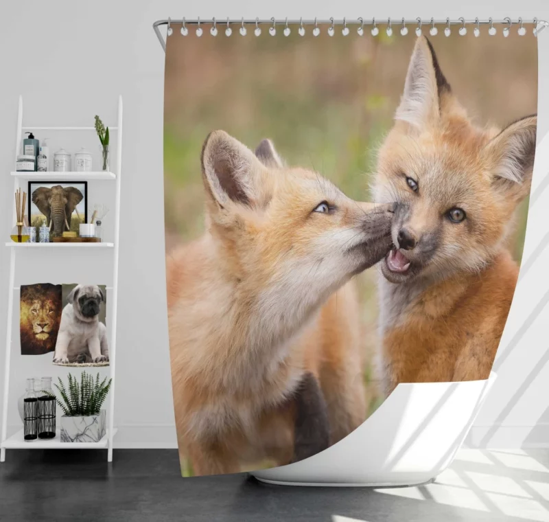 Fox Cub Playful Wilderness Spirit Shower Curtain