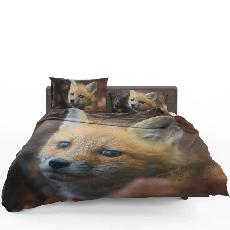 Fox Cub Wonder Bedding Set