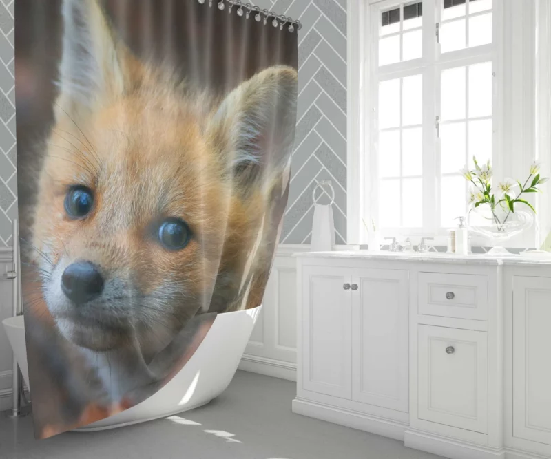 Fox Cub Wonder Shower Curtain 1