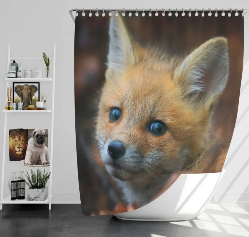 Fox Cub Wonder Shower Curtain