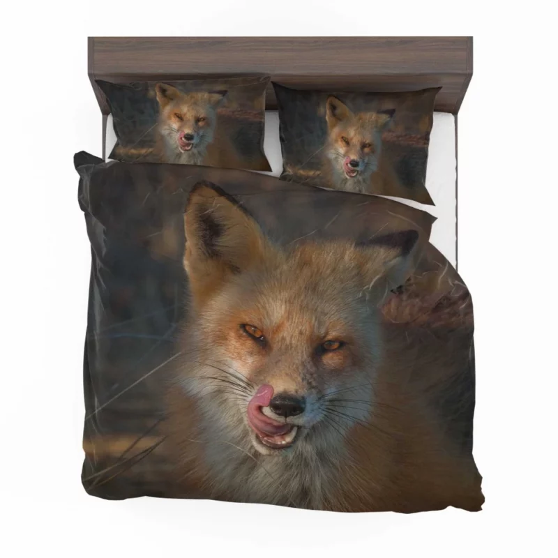 Fox Cunning Charm Bedding Set 1