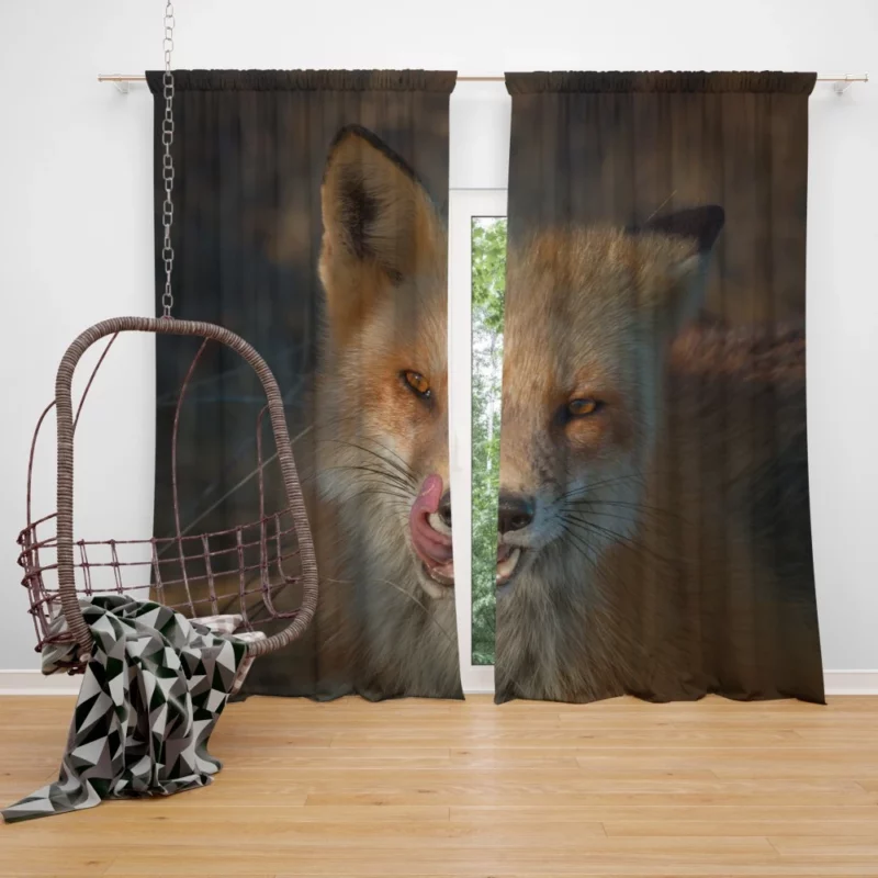 Fox Cunning Charm Curtain