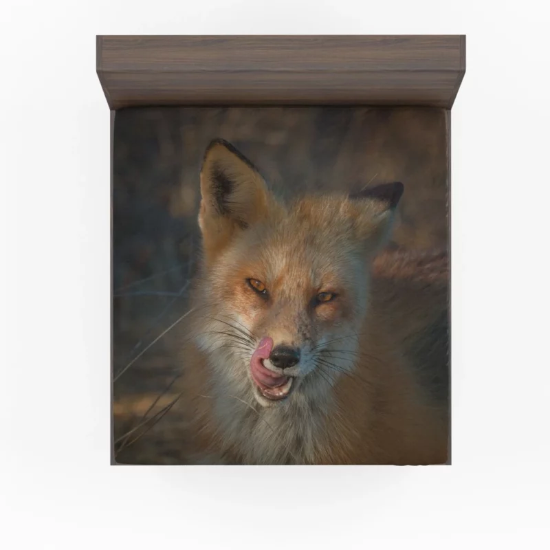 Fox Cunning Charm Fitted Sheet 1