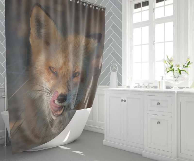 Fox Cunning Charm Shower Curtain 1