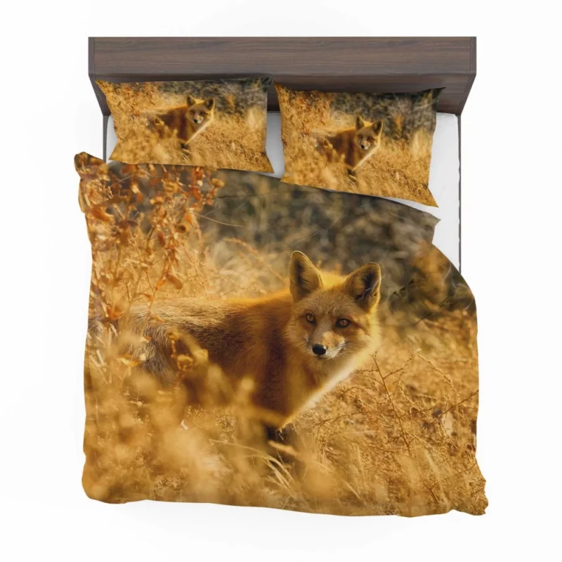 Fox Enigmatic Charm Wilderness Spirit Bedding Set 1