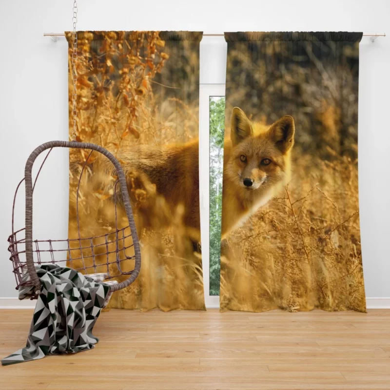 Fox Enigmatic Charm Wilderness Spirit Curtain