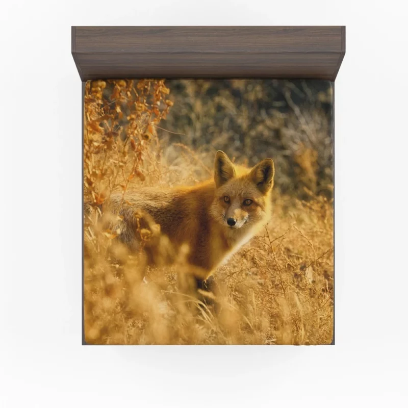 Fox Enigmatic Charm Wilderness Spirit Fitted Sheet 1