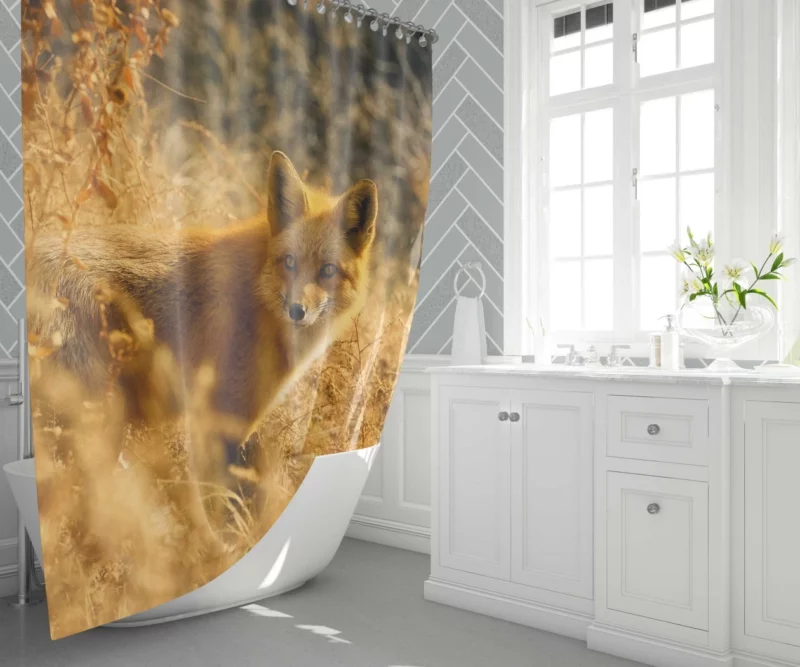 Fox Enigmatic Charm Wilderness Spirit Shower Curtain 1