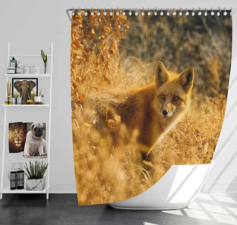 Fox Enigmatic Charm Wilderness Spirit Shower Curtain