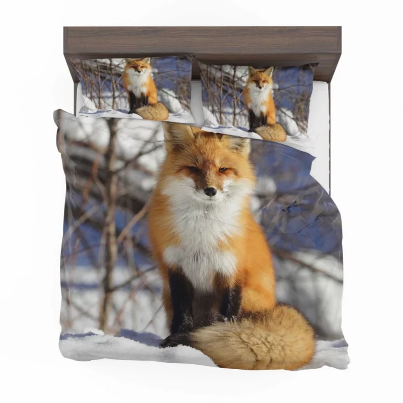 Fox Enigmatic Stare Wilderness Gaze Bedding Set 1