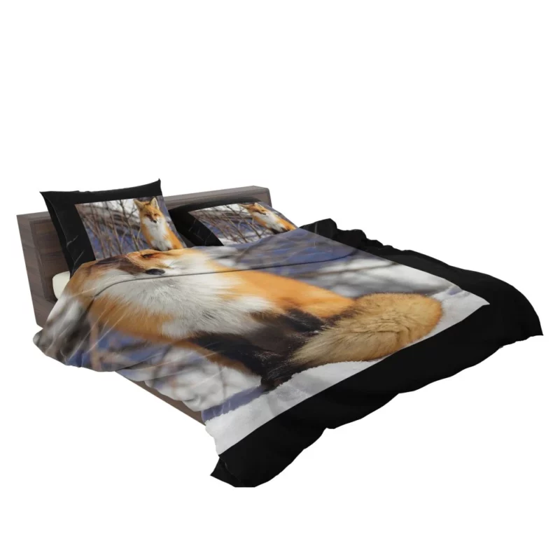 Fox Enigmatic Stare Wilderness Gaze Bedding Set 2