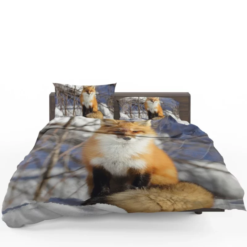 Fox Enigmatic Stare Wilderness Gaze Bedding Set