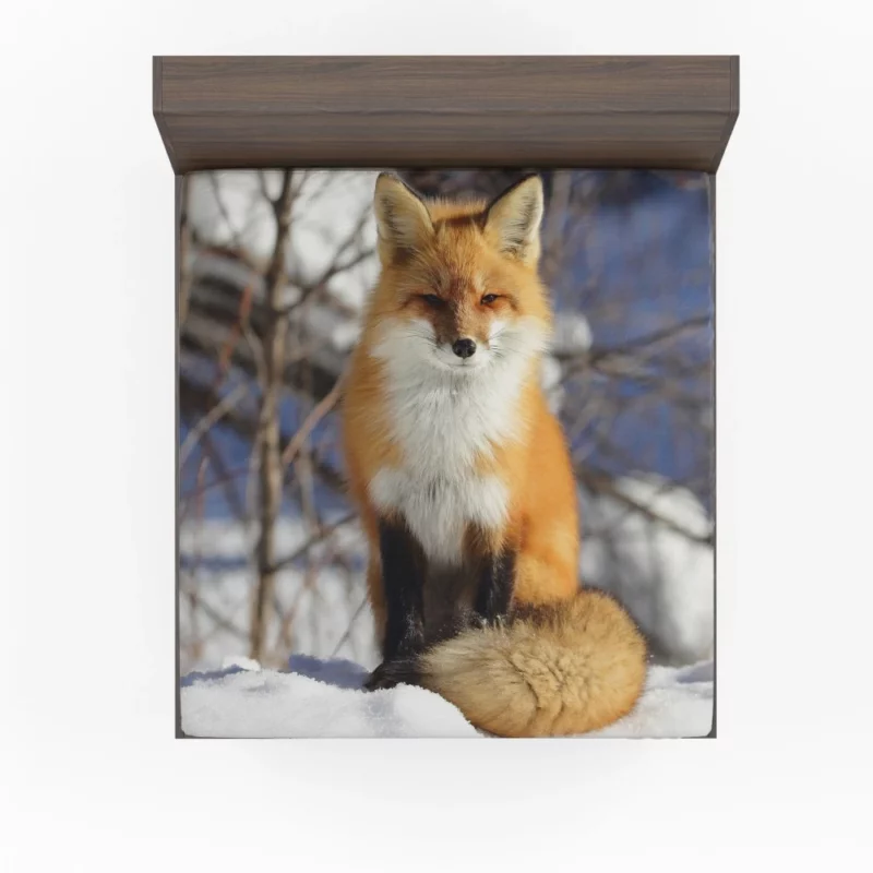 Fox Enigmatic Stare Wilderness Gaze Fitted Sheet 1