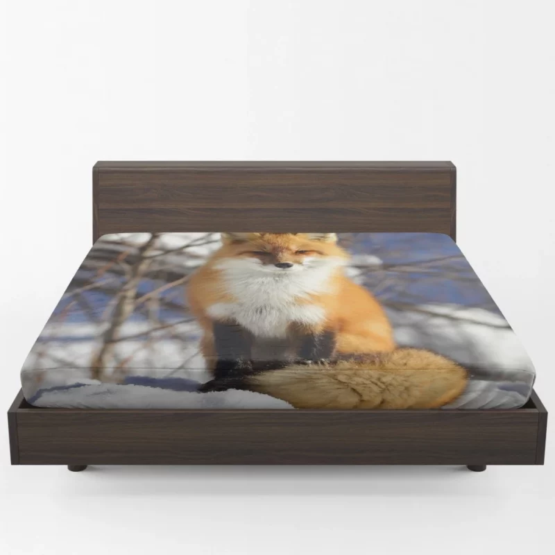 Fox Enigmatic Stare Wilderness Gaze Fitted Sheet