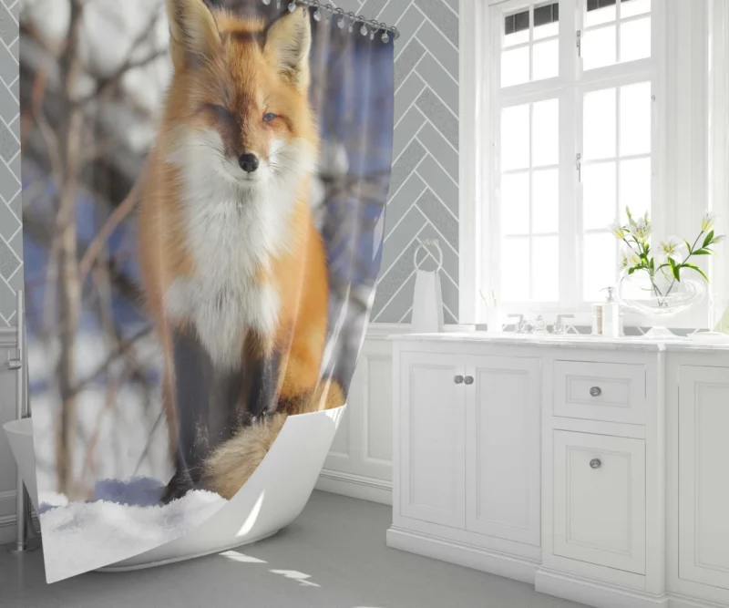 Fox Enigmatic Stare Wilderness Gaze Shower Curtain 1