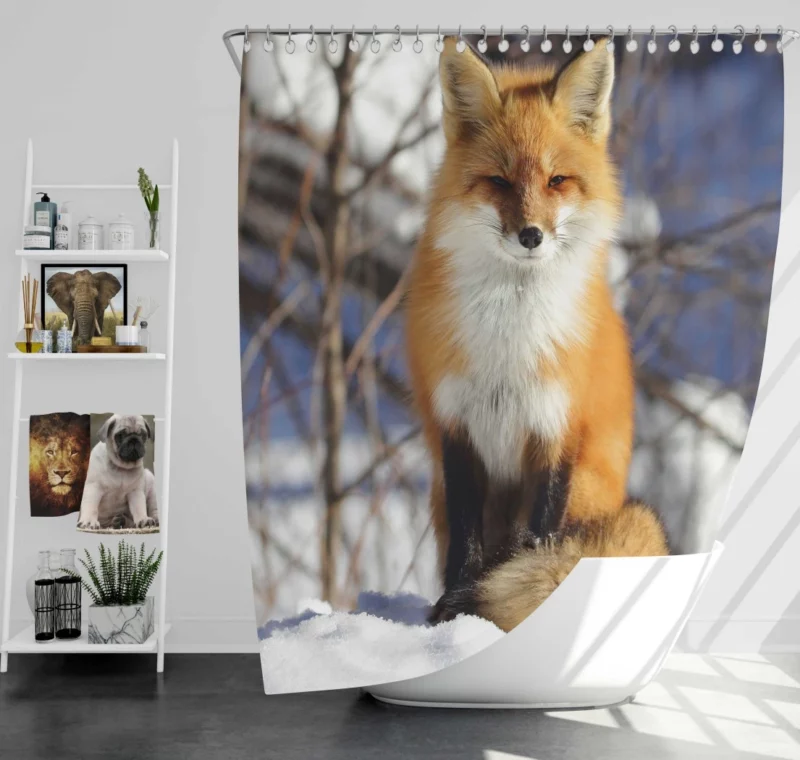 Fox Enigmatic Stare Wilderness Gaze Shower Curtain