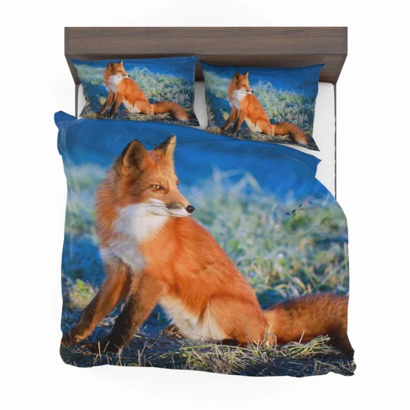 Fox Intense Stare Furry Fascination Bedding Set 1