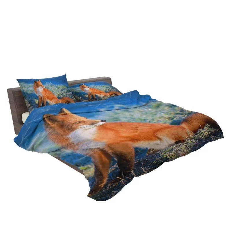 Fox Intense Stare Furry Fascination Bedding Set 2