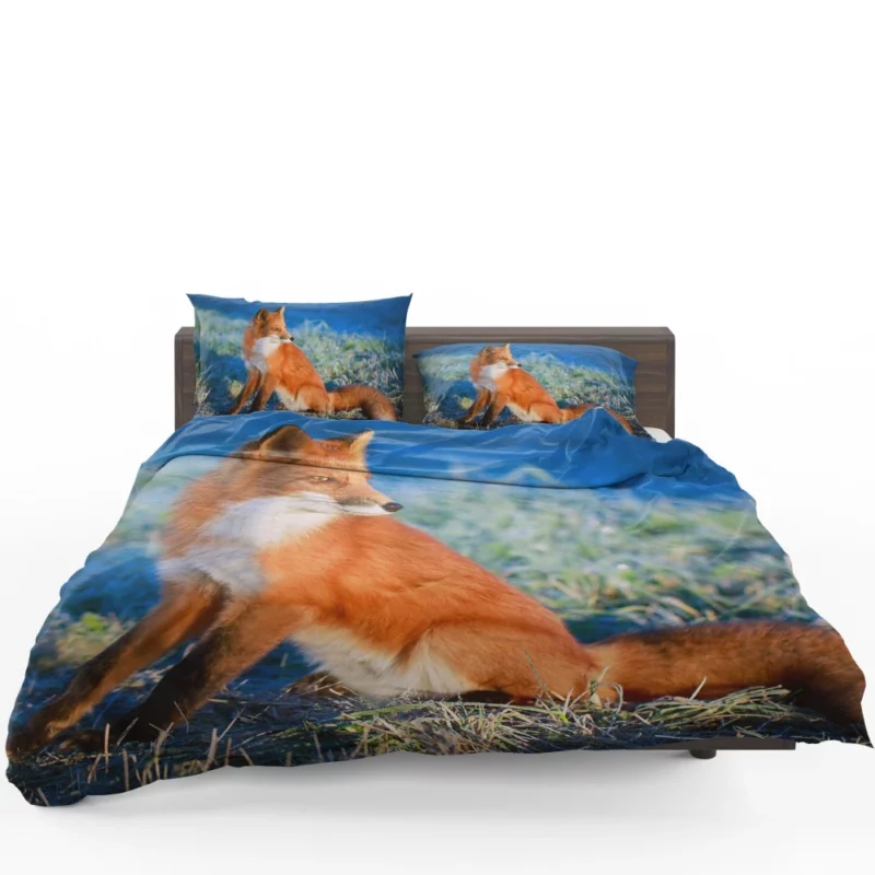 Fox Intense Stare Furry Fascination Bedding Set