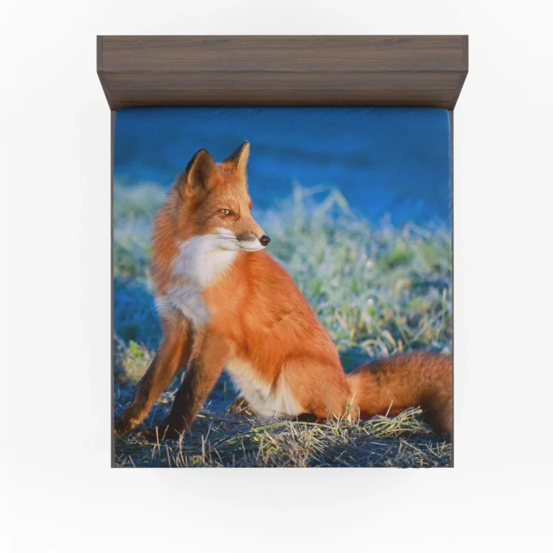 Fox Intense Stare Furry Fascination Fitted Sheet 1