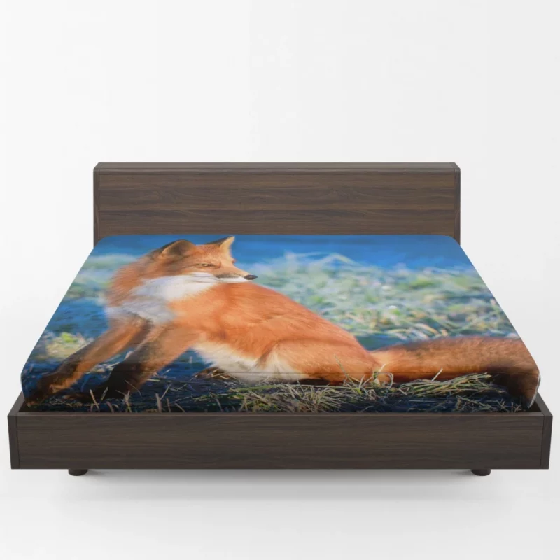 Fox Intense Stare Furry Fascination Fitted Sheet