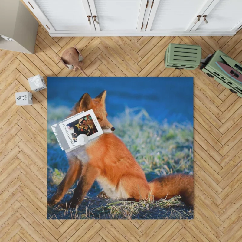 Fox Intense Stare Furry Fascination Rug