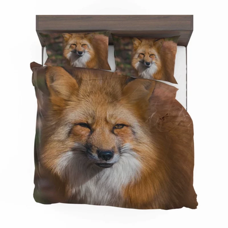 Fox Intense Stare Winter Whimsy Bedding Set 1