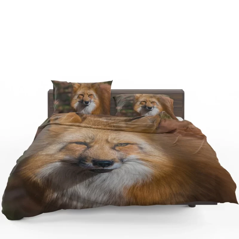 Fox Intense Stare Winter Whimsy Bedding Set