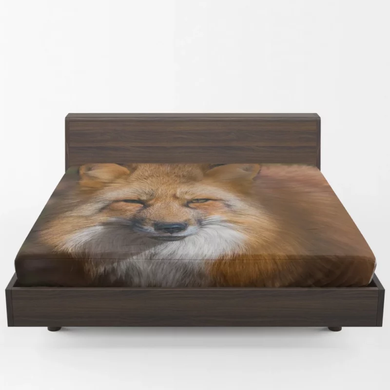 Fox Intense Stare Winter Whimsy Fitted Sheet