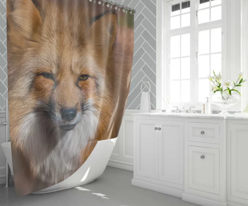 Fox Intense Stare Winter Whimsy Shower Curtain 1