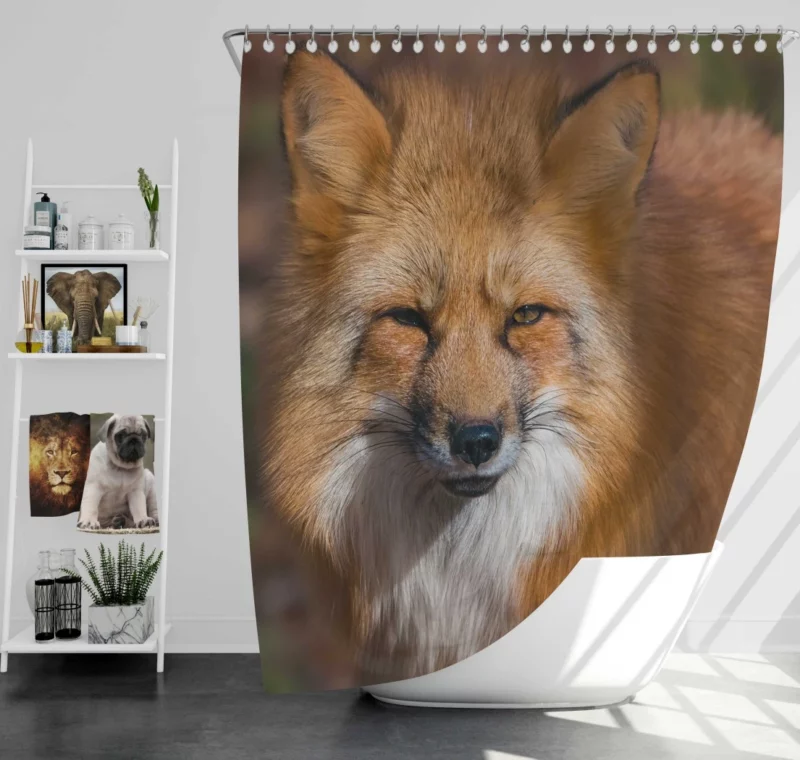 Fox Intense Stare Winter Whimsy Shower Curtain