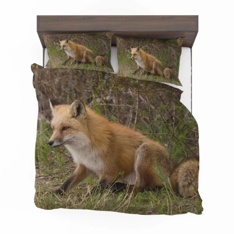 Fox Mysterious Charm Nature Enigma Bedding Set 1