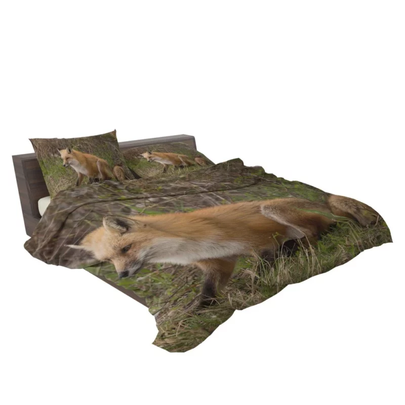 Fox Mysterious Charm Nature Enigma Bedding Set 2