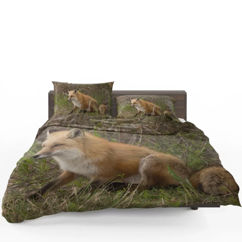 Fox Mysterious Charm Nature Enigma Bedding Set