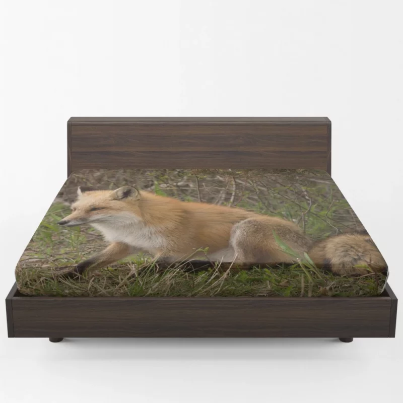 Fox Mysterious Charm Nature Enigma Fitted Sheet