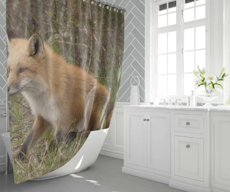 Fox Mysterious Charm Nature Enigma Shower Curtain 1