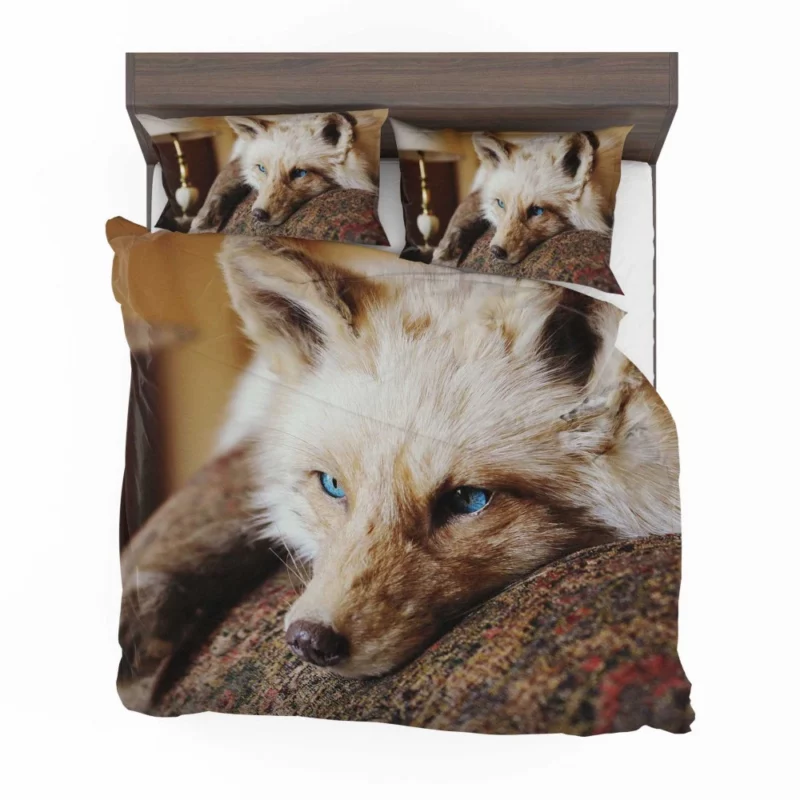 Fox Mysterious Charm Nature Wonder Bedding Set 1