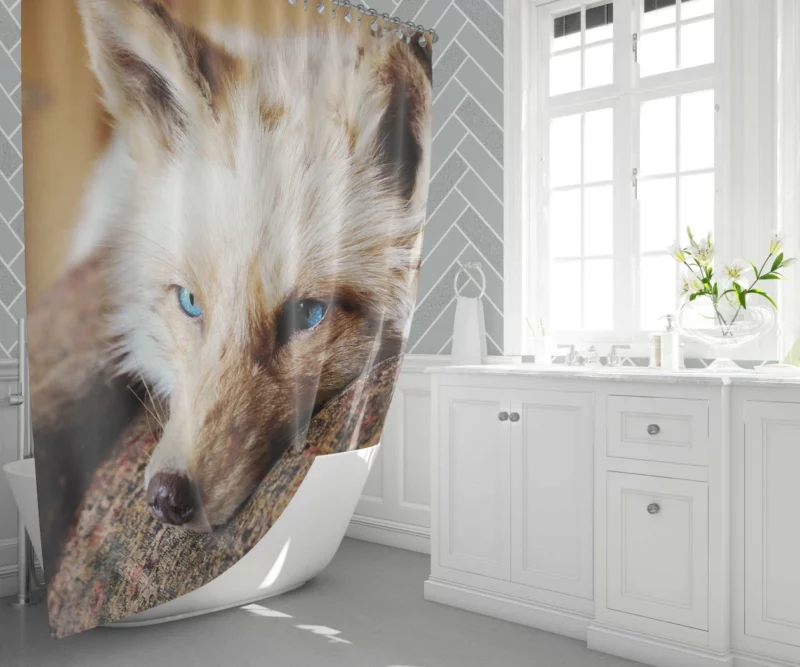 Fox Mysterious Charm Nature Wonder Shower Curtain 1