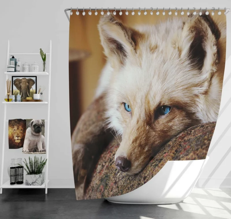 Fox Mysterious Charm Nature Wonder Shower Curtain