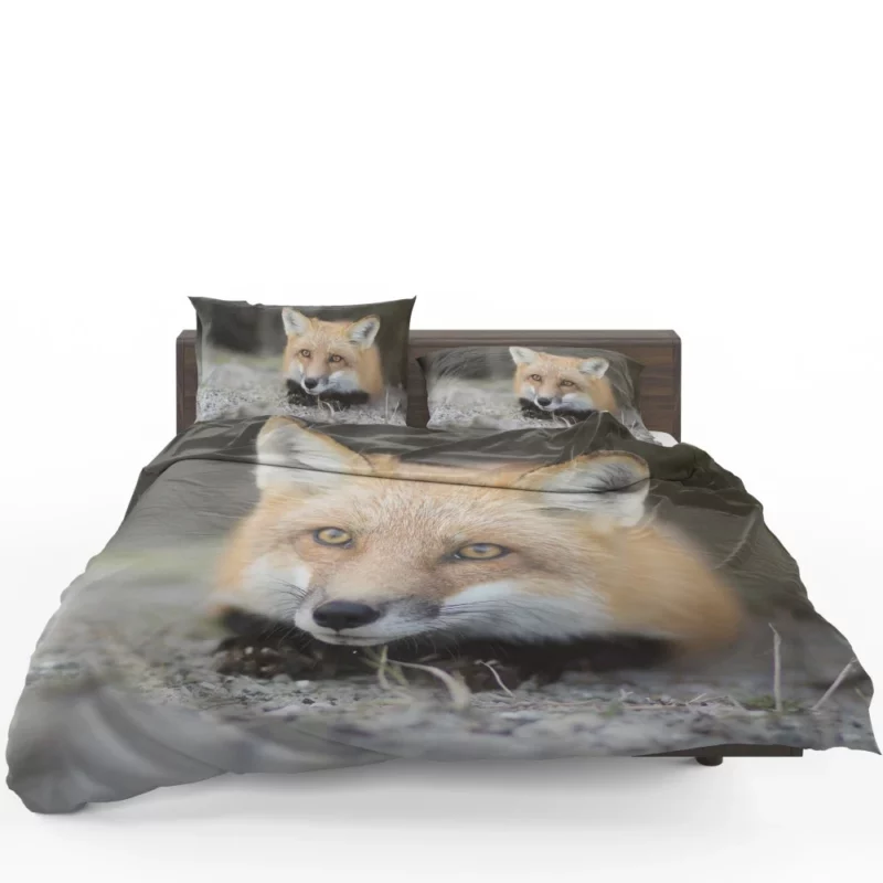 Fox Mysterious Gaze Enigmatic Charm Bedding Set