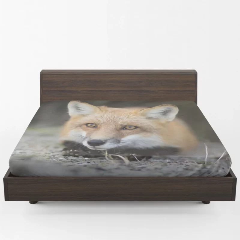 Fox Mysterious Gaze Enigmatic Charm Fitted Sheet