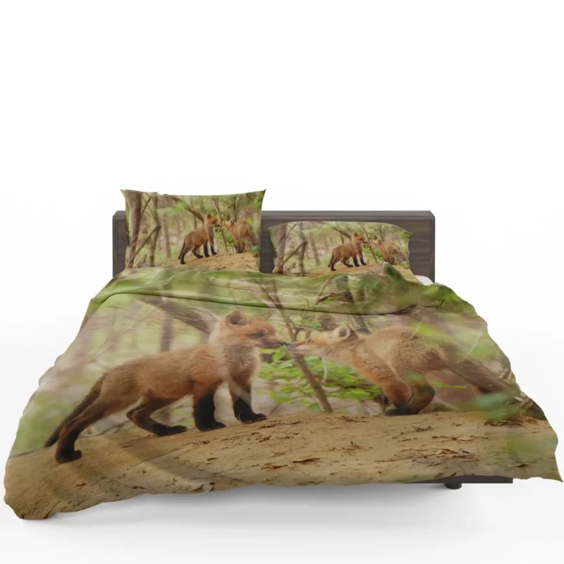 Fox Mysterious Gaze Wilderness Charm Bedding Set