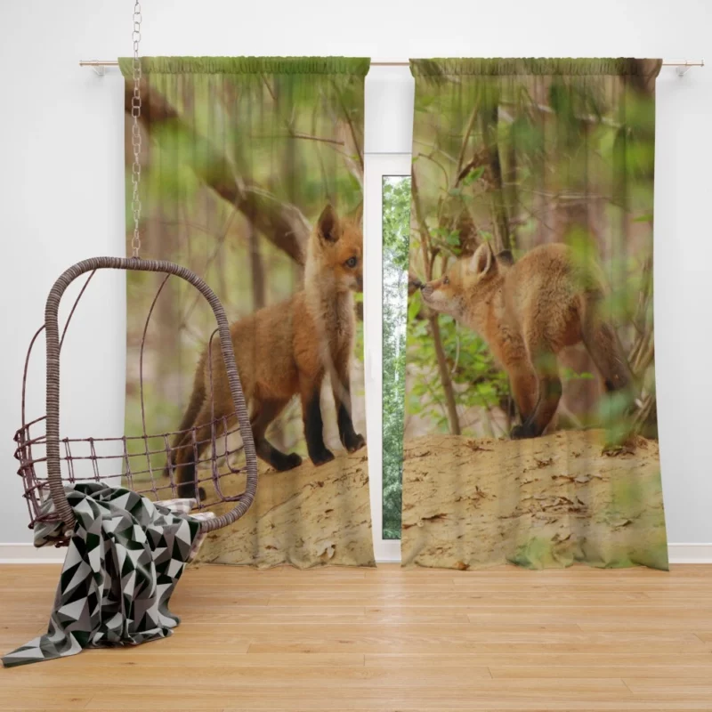 Fox Mysterious Gaze Wilderness Charm Curtain