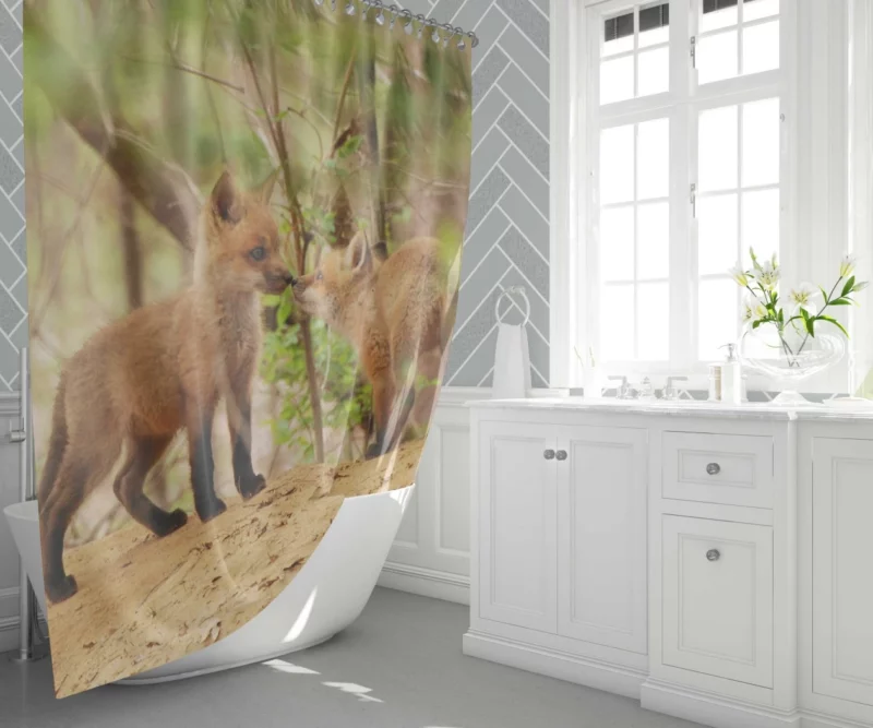 Fox Mysterious Gaze Wilderness Charm Shower Curtain 1