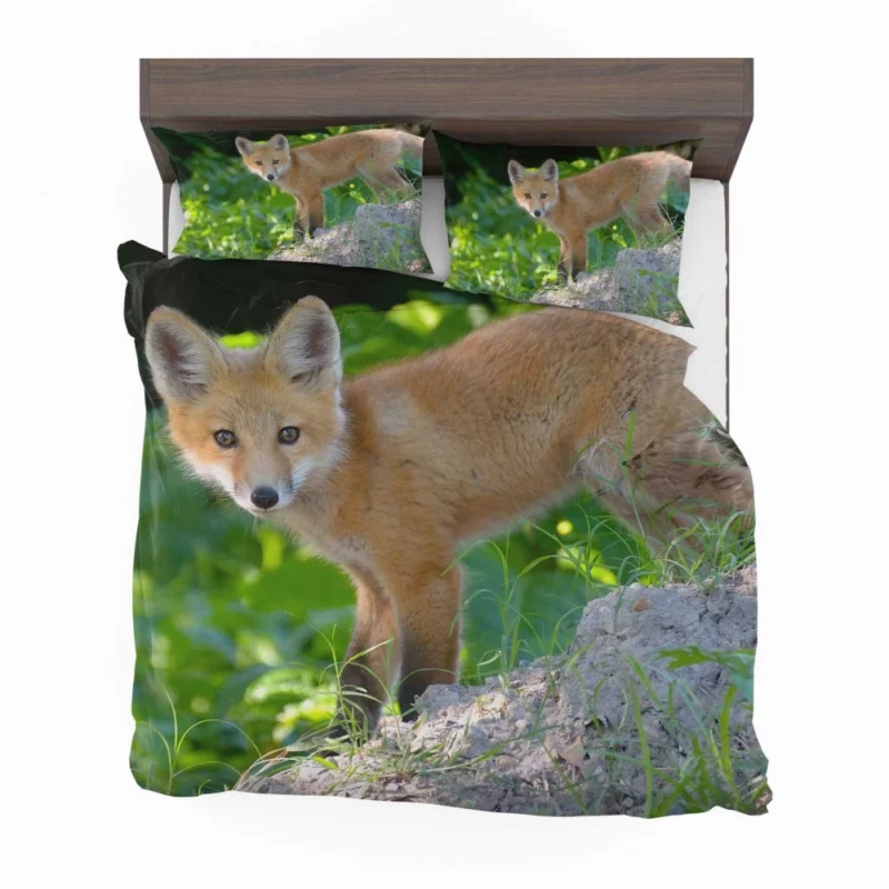 Fox Natural Elegance Furry Wonder Bedding Set 1