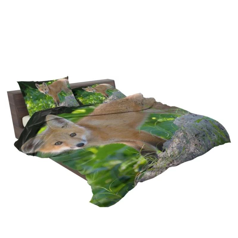 Fox Natural Elegance Furry Wonder Bedding Set 2