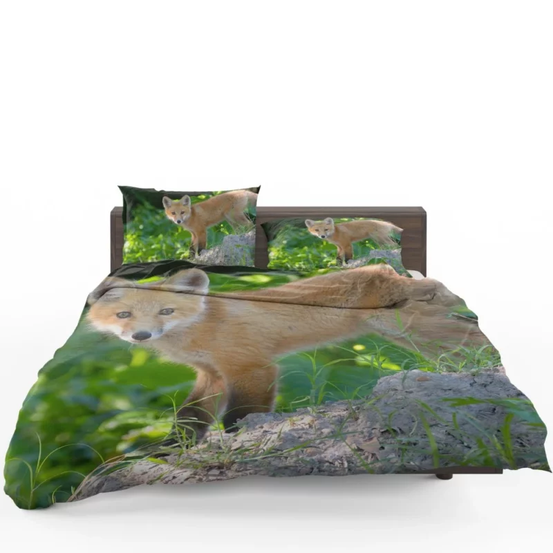 Fox Natural Elegance Furry Wonder Bedding Set