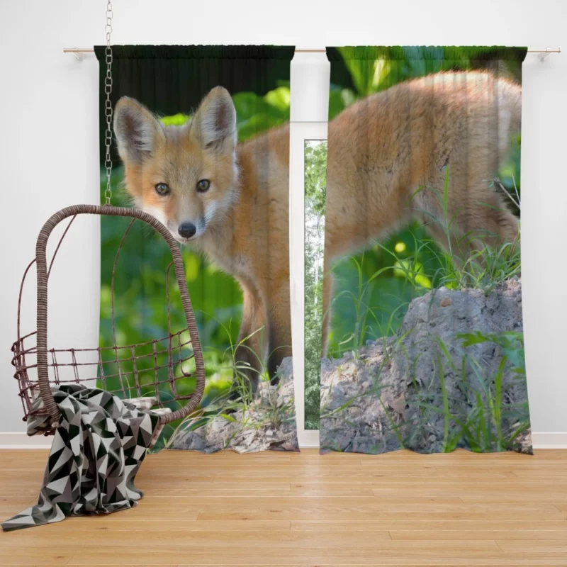 Fox Natural Elegance Furry Wonder Curtain