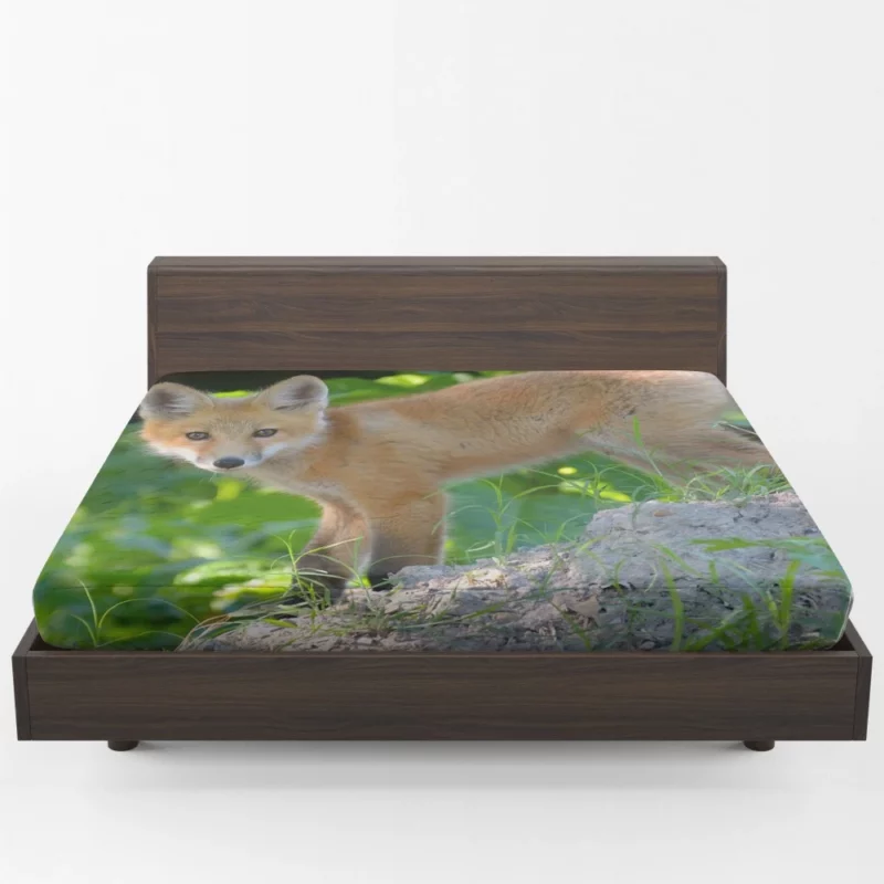 Fox Natural Elegance Furry Wonder Fitted Sheet