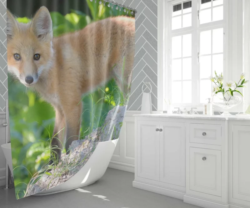 Fox Natural Elegance Furry Wonder Shower Curtain 1